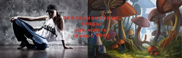 марки nbome Ельня