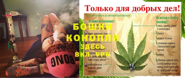 дмт Пестово