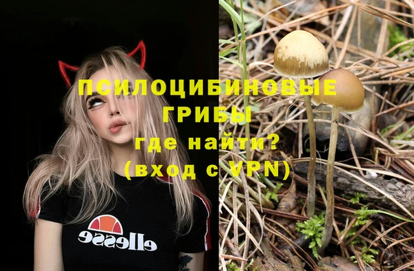 марки nbome Ельня