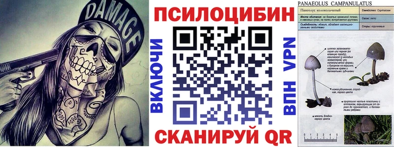 Галлюциногенные грибы Magic Shrooms  Ирбит 