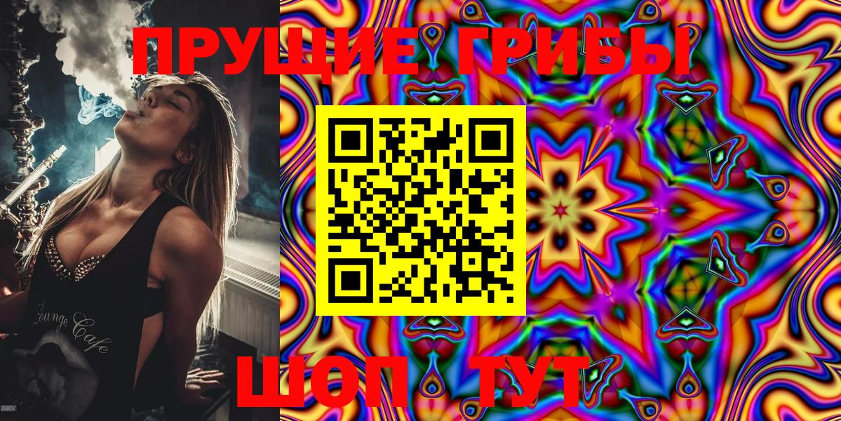 Ирбит  Галлюциногенные грибы Psilocybe  купить наркотик  Вход с VPN 